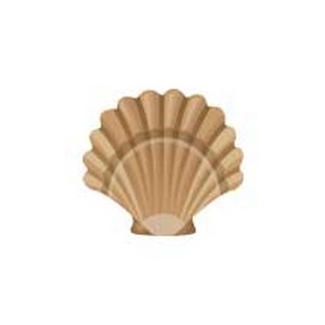 Scallop Shell